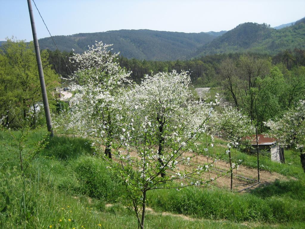 Agriturismo Casalino Beverino Exterior foto